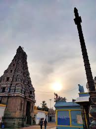 Thiruchopuranathar Temple (Puliyur)