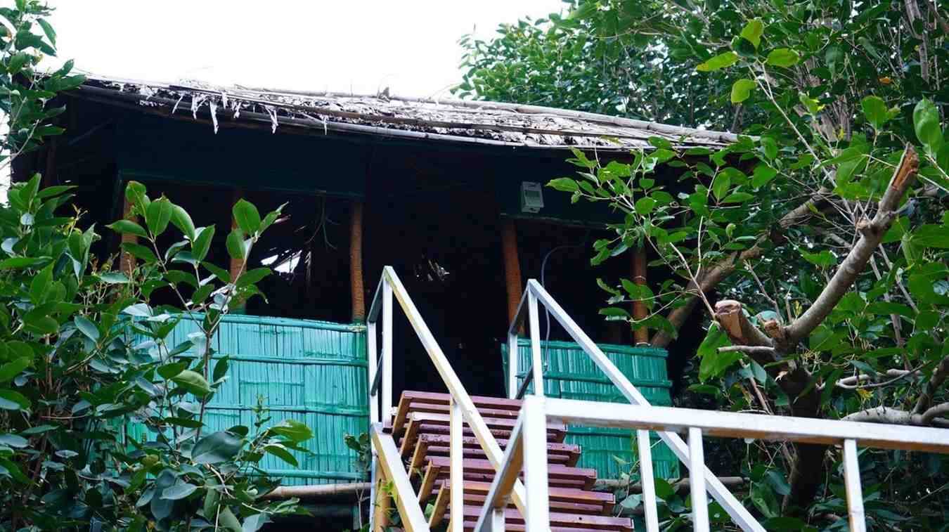 Tree House